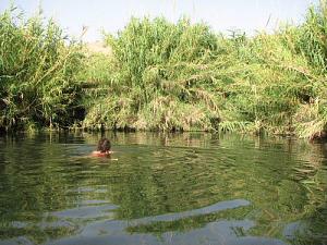 Click image for larger version. 

Name:	yardinon 1.JPG 
Views:	617 
Size:	60.6  
ID:	100123