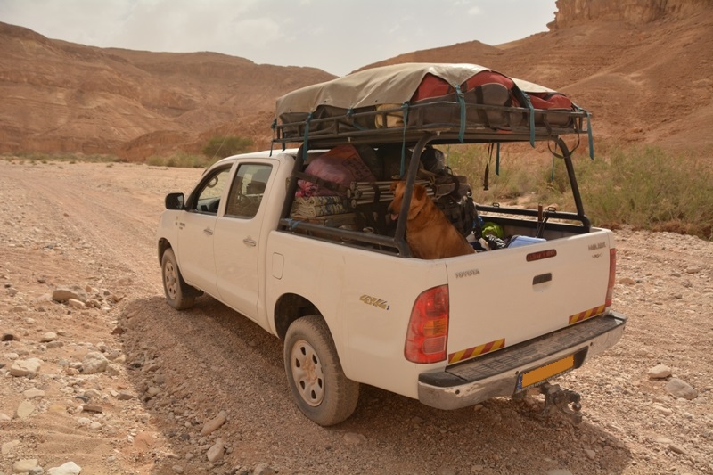 Name:  hilux pickup desert.jpg
Views: 5164
Size:  205.9 