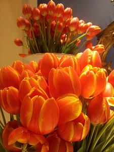 Click image for larger version. 

Name:	20130923_203145.jpg 
Views:	147 
Size:	163.6  
ID:	101199