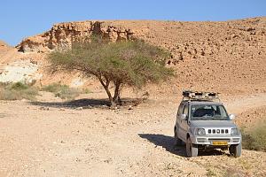 Click image for larger version. 

Name:	1.jpg 
Views:	242 
Size:	219.0  
ID:	101203