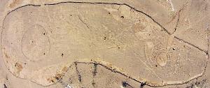 Click image for larger version. 

Name:	DJI03921.jpg 
Views:	375 
Size:	194.3  
ID:	101245