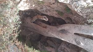 Click image for larger version. 

Name:	qq.jpg 
Views:	368 
Size:	163.4  
ID:	101411