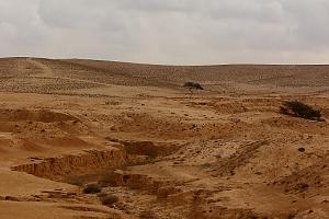 Click image for larger version. 

Name:	pic7.jpg 
Views:	167 
Size:	77.4  
ID:	102468