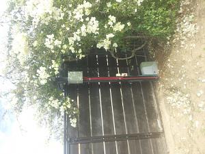 Click image for larger version. 

Name:	4.jpg 
Views:	362 
Size:	181.0  
ID:	103694