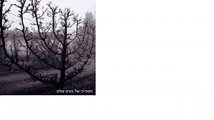 Click image for larger version. 

Name:	  .jpg 
Views:	478 
Size:	97.5  
ID:	104211