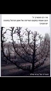 Click image for larger version. 

Name:	ImageUploadedByTapatalk1449157362.428129.jpg 
Views:	629 
Size:	126.2  
ID:	104212