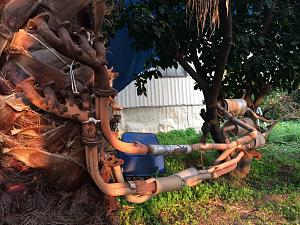 Click image for larger version. 

Name:	IMG_7336.JPG 
Views:	338 
Size:	238.3  
ID:	104618
