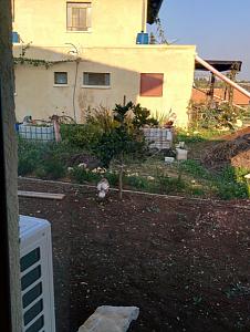 Click image for larger version. 

Name:	ImageUploadedByTapatalk1450737162.975788.jpg 
Views:	366 
Size:	401.8  
ID:	104727