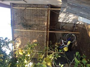 Click image for larger version. 

Name:	 3.jpg 
Views:	193 
Size:	281.7  
ID:	104829