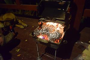 Click image for larger version. 

Name:	DSC_0178.jpg 
Views:	239 
Size:	227.4  
ID:	105476