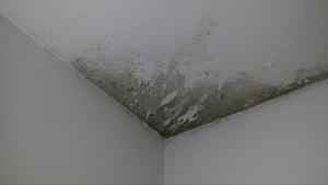 Click image for larger version. 

Name:	uploadfromtaptalk1456085474258.jpg 
Views:	355 
Size:	62.9  
ID:	106313
