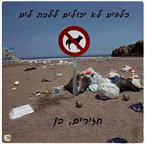 Click image for larger version. 

Name:	.jpg 
Views:	169 
Size:	79.3  
ID:	106335