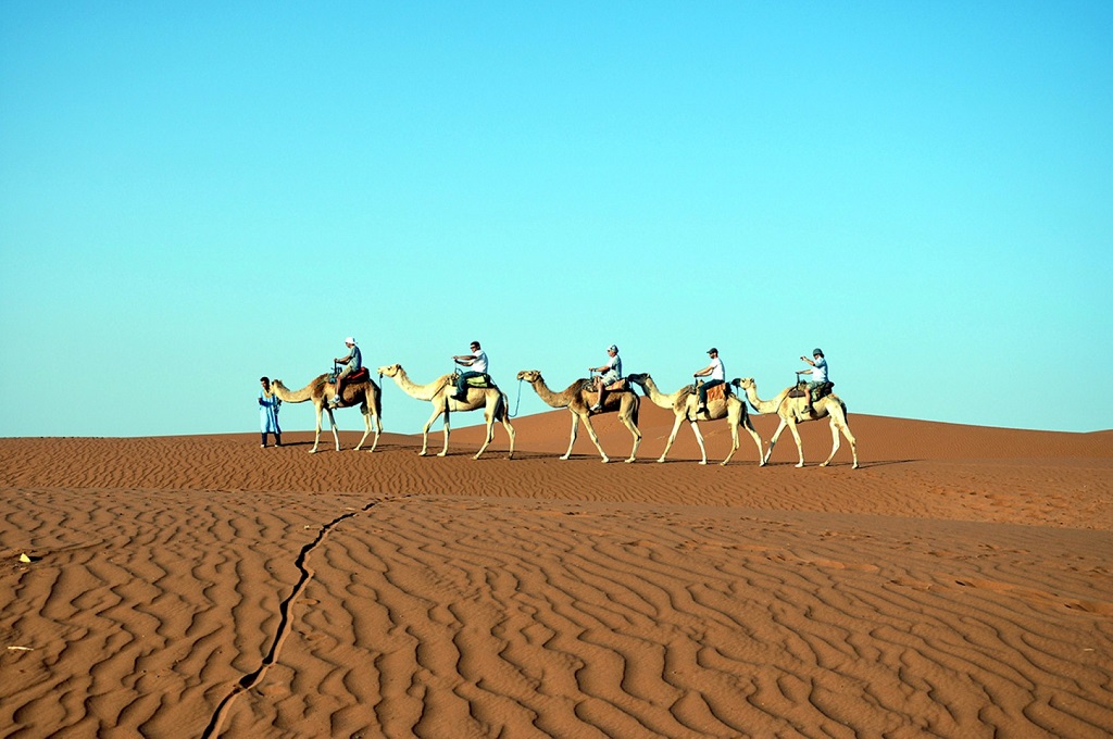 ����� ����� ��� ���� ������