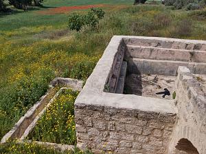 Click image for larger version. 

Name:	ה (Custom).jpg 
Views:	274 
Size:	328.9 קילובייט 
ID:	106831
