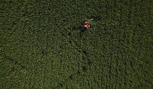Click image for larger version. 

Name:	12814394_10153978081654723_1654952569881754806_n.jpg 
Views:	300 
Size:	160.8  
ID:	107512