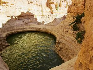 Click image for larger version. 

Name:	IMG_0514 (Medium).JPG 
Views:	266 
Size:	247.1  
ID:	107806