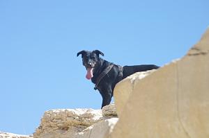 Click image for larger version. 

Name:	IMGP5491.jpg 
Views:	276 
Size:	135.4  
ID:	107857