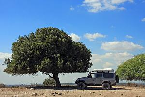 Click image for larger version. 

Name:	4.jpg 
Views:	452 
Size:	133.9  
ID:	108520
