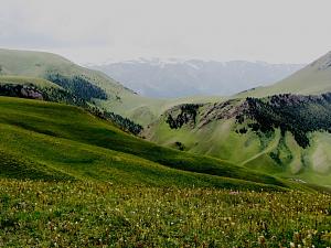 Click image for larger version. 

Name:	IMG_0914 (Medium).JPG 
Views:	332 
Size:	250.4  
ID:	109509