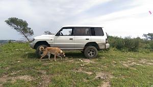 Click image for larger version. 

Name:	PAJ2.jpg 
Views:	567 
Size:	253.8  
ID:	109851