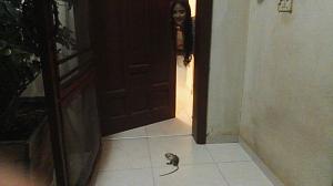 Click image for larger version. 

Name:	.jpg 
Views:	729 
Size:	54.9  
ID:	109937