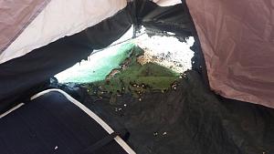 Click image for larger version. 

Name:	IMG_1255.JPG 
Views:	599 
Size:	122.0  
ID:	111459