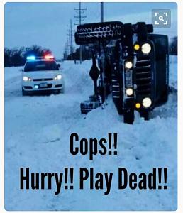 Click image for larger version. 

Name:	ImageUploadedByTapatalk1479566588.647471.jpg 
Views:	304 
Size:	198.2  
ID:	111790