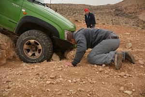 Click image for larger version. 

Name:	DSC_9206.JPG 
Views:	161 
Size:	569.6  
ID:	112238
