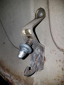Click image for larger version. 

Name:	bug_01.jpg 
Views:	677 
Size:	208.9  
ID:	112572