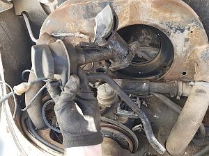 Click image for larger version. 

Name:	bug_13.jpg 
Views:	806 
Size:	272.6  
ID:	112794