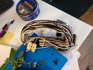 Click image for larger version. 

Name:	gerlanda3.jpg 
Views:	400 
Size:	198.4  
ID:	113943