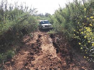 Click image for larger version. 

Name:	sh 2.jpg 
Views:	929 
Size:	322.8  
ID:	114184