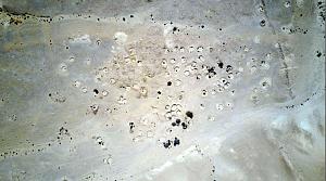Click image for larger version. 

Name:	bum.JPG 
Views:	496 
Size:	111.7  
ID:	114238