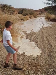 Click image for larger version. 

Name:	  .jpg 
Views:	520 
Size:	303.0  
ID:	114336