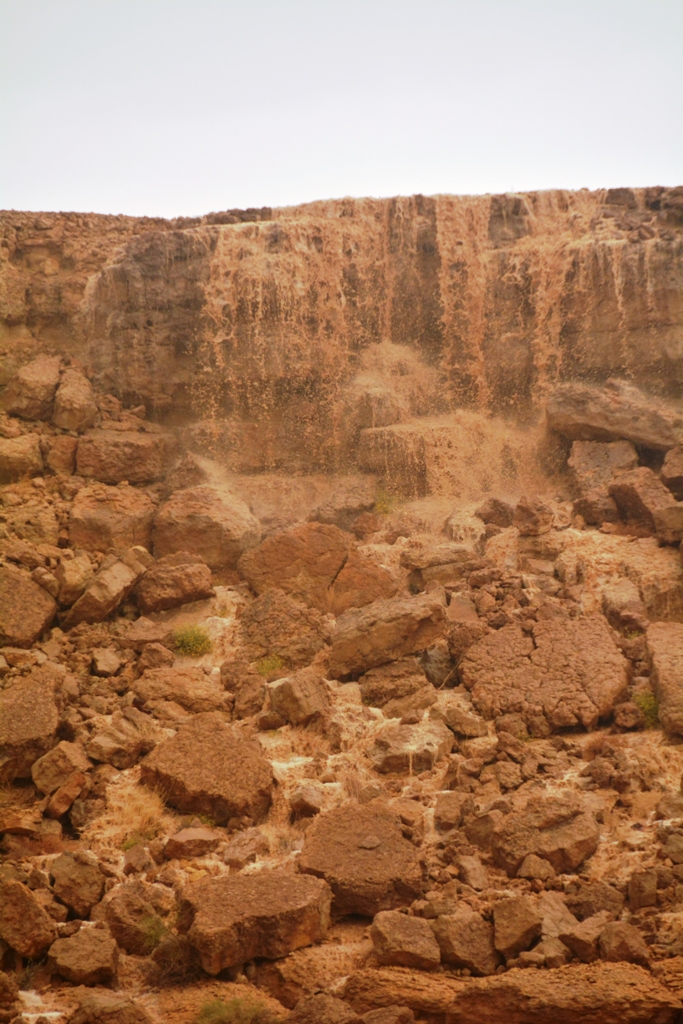 Name:  DSC_9608.JPG
Views: 772
Size:  545.7 