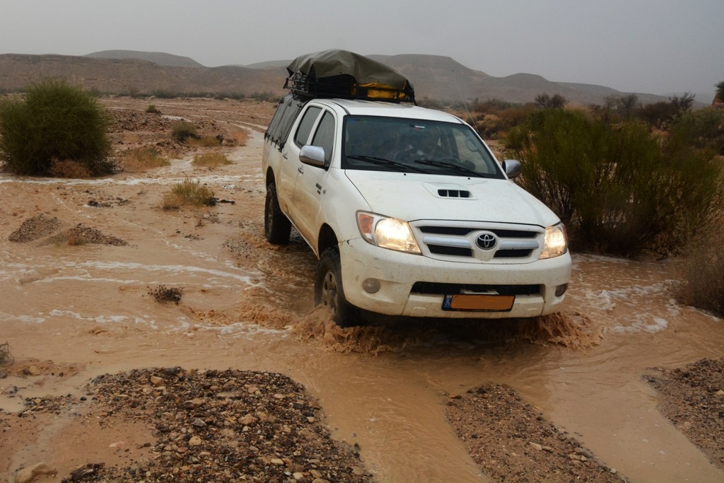 Name:  DSC_9643.JPG
Views: 750
Size:  282.5 