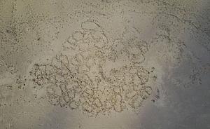 Click image for larger version. 

Name:	.JPG 
Views:	492 
Size:	227.4  
ID:	114428