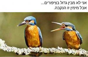 Click image for larger version. 

Name:	ImageUploadedByTapatalk1494514116.251883.jpg 
Views:	429 
Size:	79.0  
ID:	114773