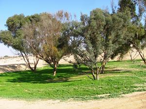 Click image for larger version. 

Name:	IMG_0852 (Medium).JPG 
Views:	1947 
Size:	328.6  
ID:	117758