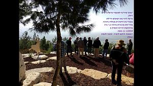 Click image for larger version. 

Name:	4 (Custom).jpg 
Views:	156 
Size:	250.4  
ID:	118180