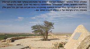 Click image for larger version. 

Name:	.jpg 
Views:	205 
Size:	269.4  
ID:	119119