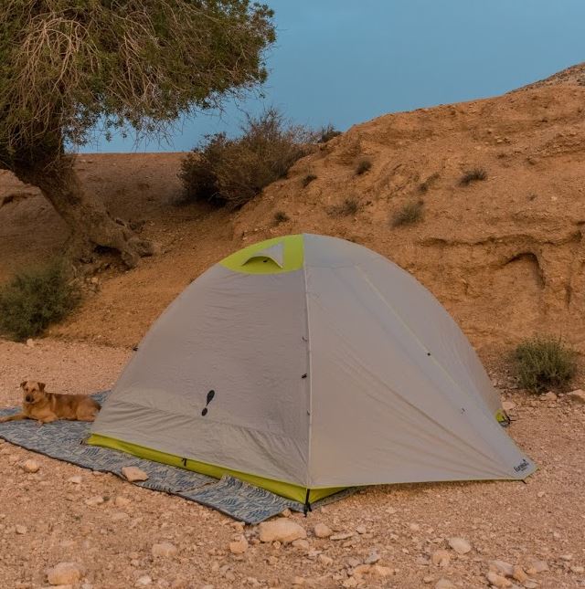 Name:  midori 6 tent .JPG
Views: 954
Size:  87.7 
