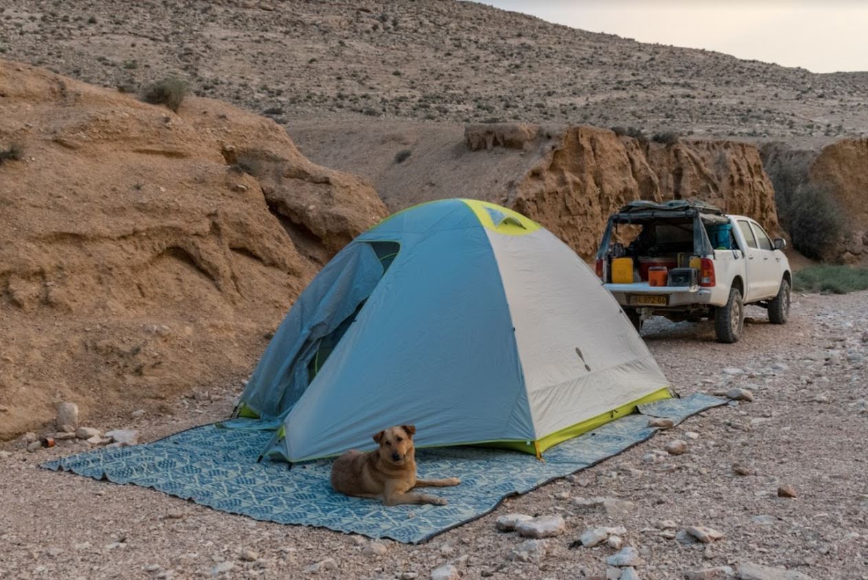 Name:  midori 6 tent.JPG
Views: 822
Size:  203.4 