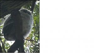 Click image for larger version. 

Name:	 2.jpg 
Views:	371 
Size:	80.7  
ID:	119618