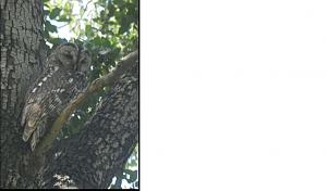 Click image for larger version. 

Name:	 1.jpg 
Views:	362 
Size:	105.5  
ID:	119619