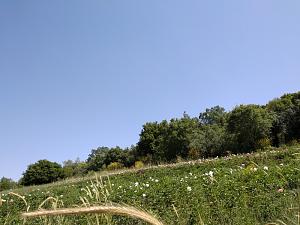 Click image for larger version. 

Name:	6.jpg 
Views:	255 
Size:	140.3  
ID:	119633
