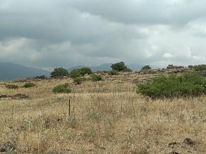 Click image for larger version. 

Name:	1.jpg 
Views:	197 
Size:	307.3  
ID:	119833