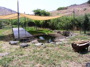 Click image for larger version. 

Name:	IMG_2654 (Medium).JPG 
Views:	521 
Size:	323.6  
ID:	119941