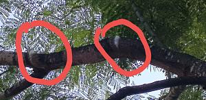 Click image for larger version. 

Name:	 .jpeg 
Views:	167 
Size:	177.9  
ID:	120478