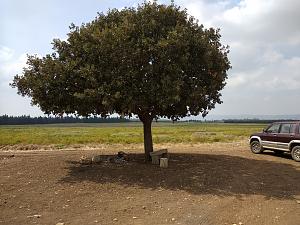 Click image for larger version. 

Name:	1.jpg 
Views:	214 
Size:	263.3  
ID:	120829